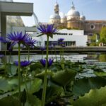 Orto botanico di Padova